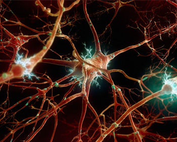 کاربرد الکتروشیمی در سلول های عصبی